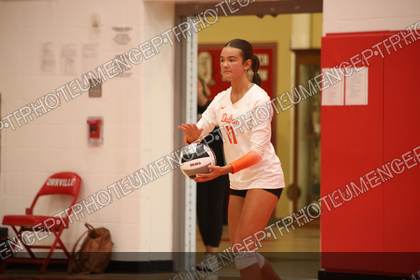 Game photo preview