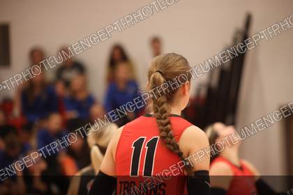 Game photo preview