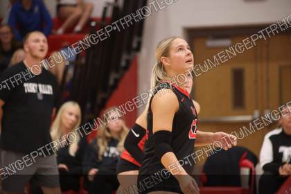 Game photo preview