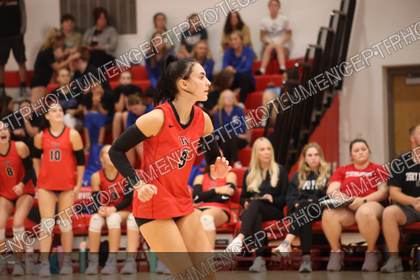Game photo preview