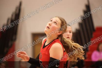 Game photo preview