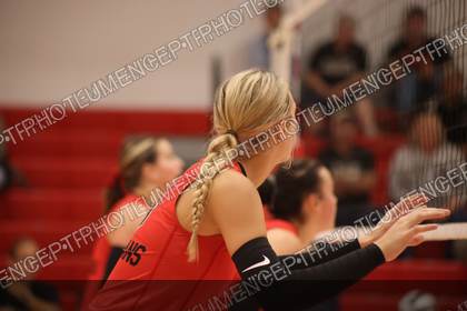 Game photo preview