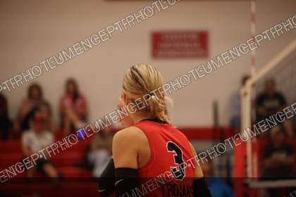 Game photo preview