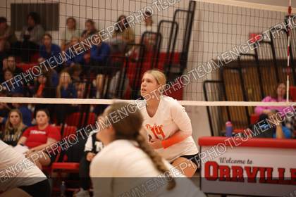 Game photo preview