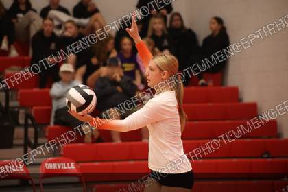 Game photo preview