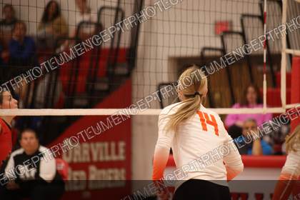 Game photo preview