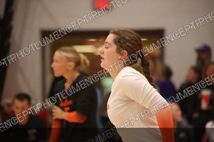 Game photo preview