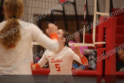 Game photo preview