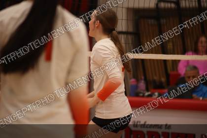 Game photo preview