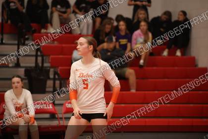 Game photo preview