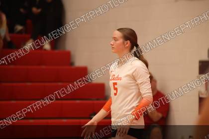 Game photo preview