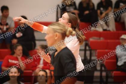Game photo preview