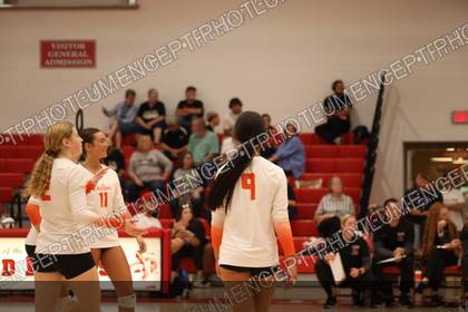 Game photo preview