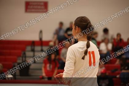 Game photo preview