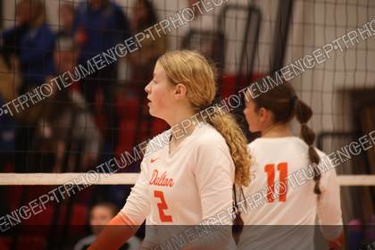 Game photo preview