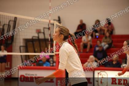 Game photo preview