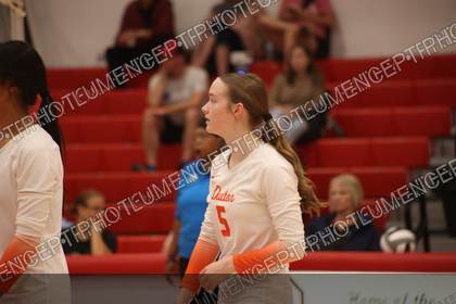 Game photo preview