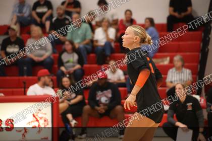 Game photo preview
