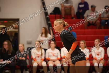 Game photo preview