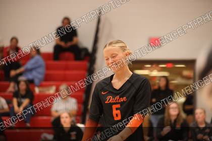 Game photo preview