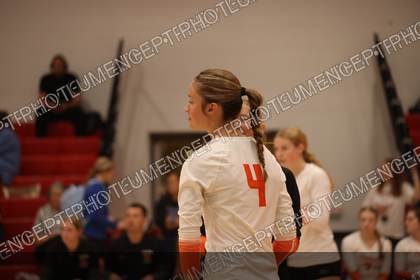 Game photo preview