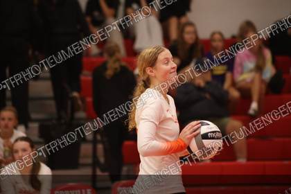 Game photo preview