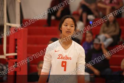 Game photo preview