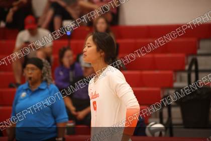 Game photo preview