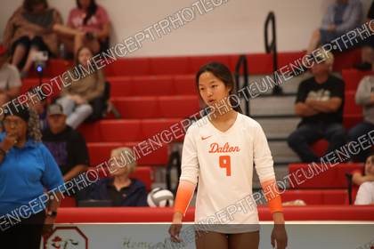 Game photo preview