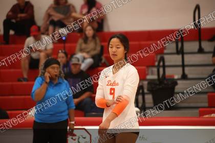 Game photo preview