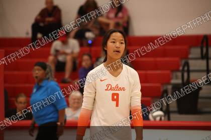Game photo preview