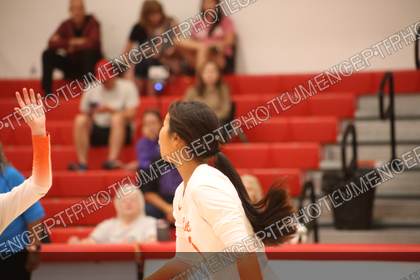 Game photo preview