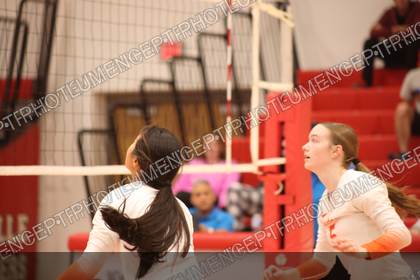 Game photo preview