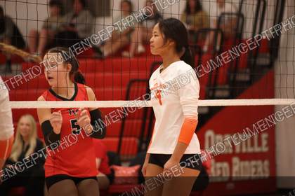 Game photo preview