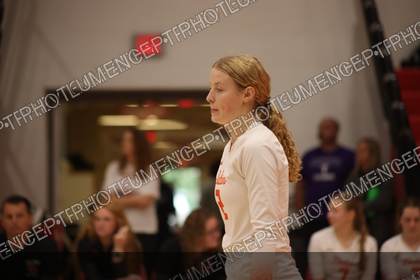 Game photo preview