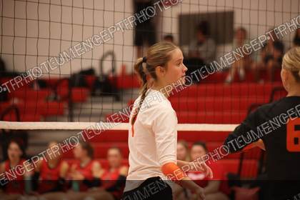 Game photo preview