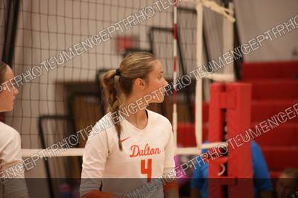 Game photo preview
