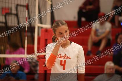 Game photo preview