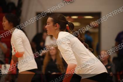 Game photo preview
