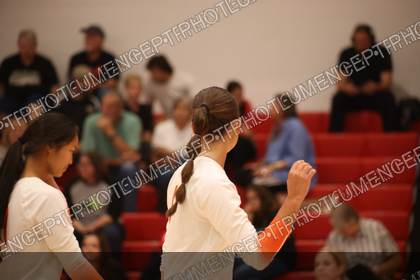 Game photo preview