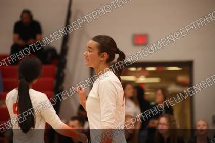 Game photo preview