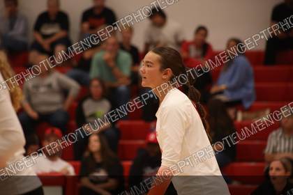 Game photo preview