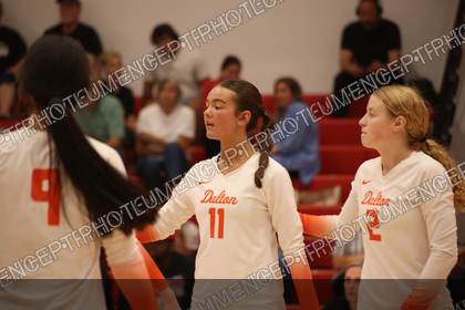 Game photo preview
