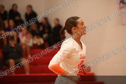 Game photo preview