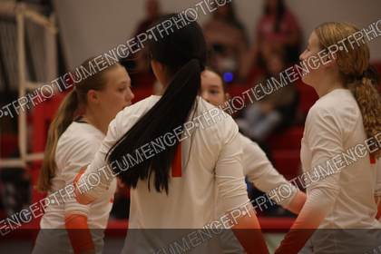 Game photo preview