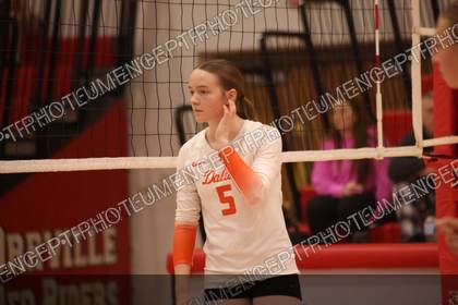 Game photo preview
