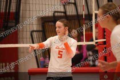 Game photo preview