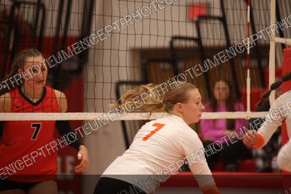 Game photo preview