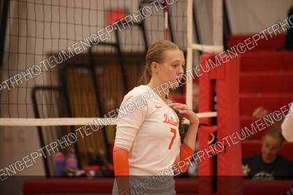 Game photo preview