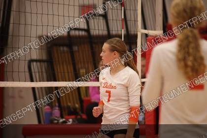 Game photo preview